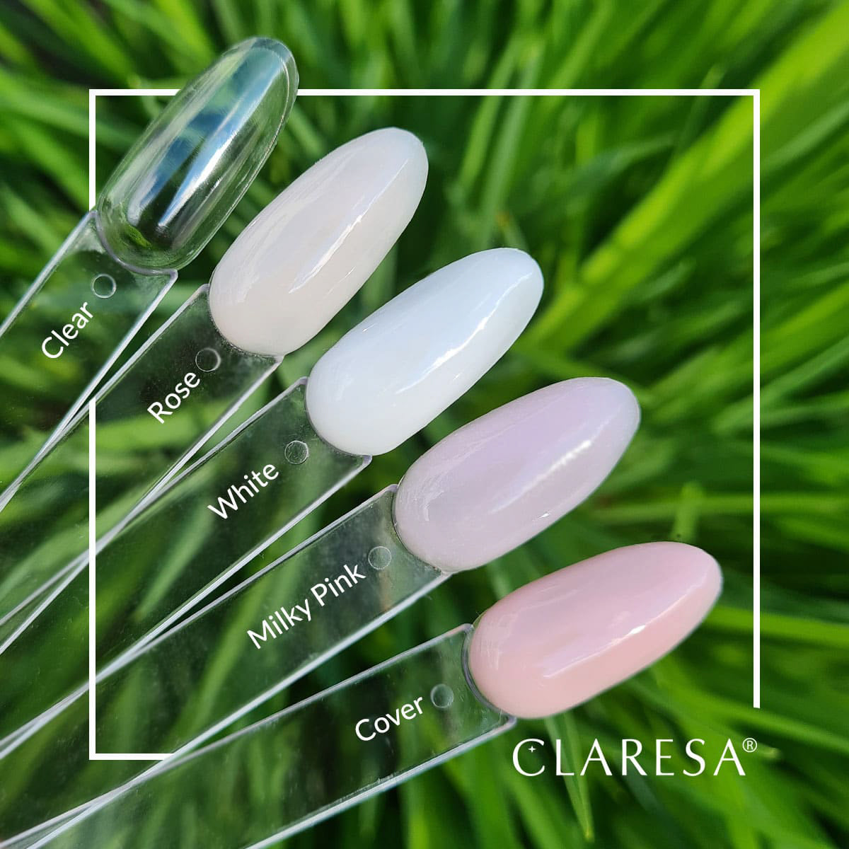 CLARESA BUILDER GEL CLEAR -25 g - BVShop