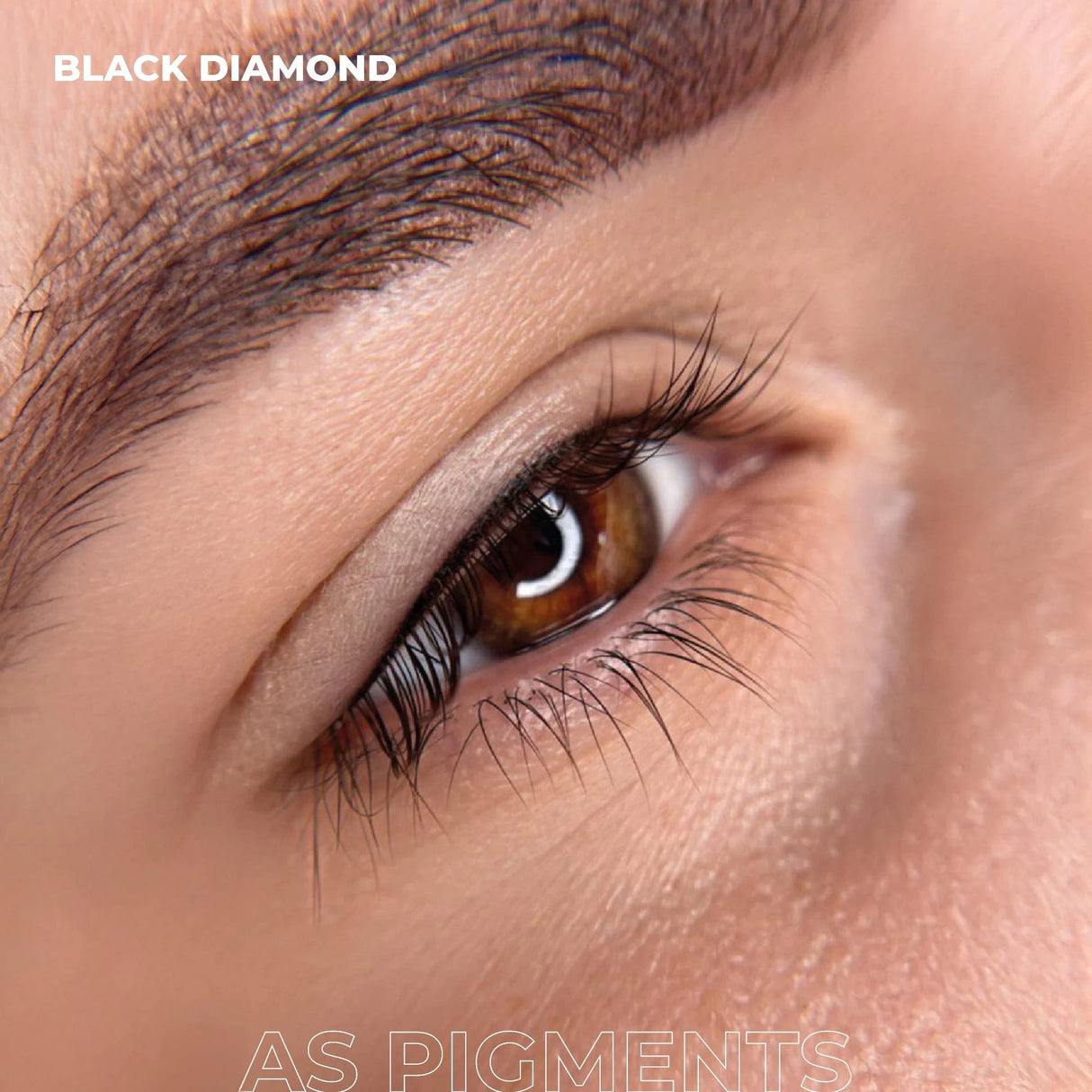 AS COMPANY Black Diamond (AS Pigments) 6/12ml - BVShop
