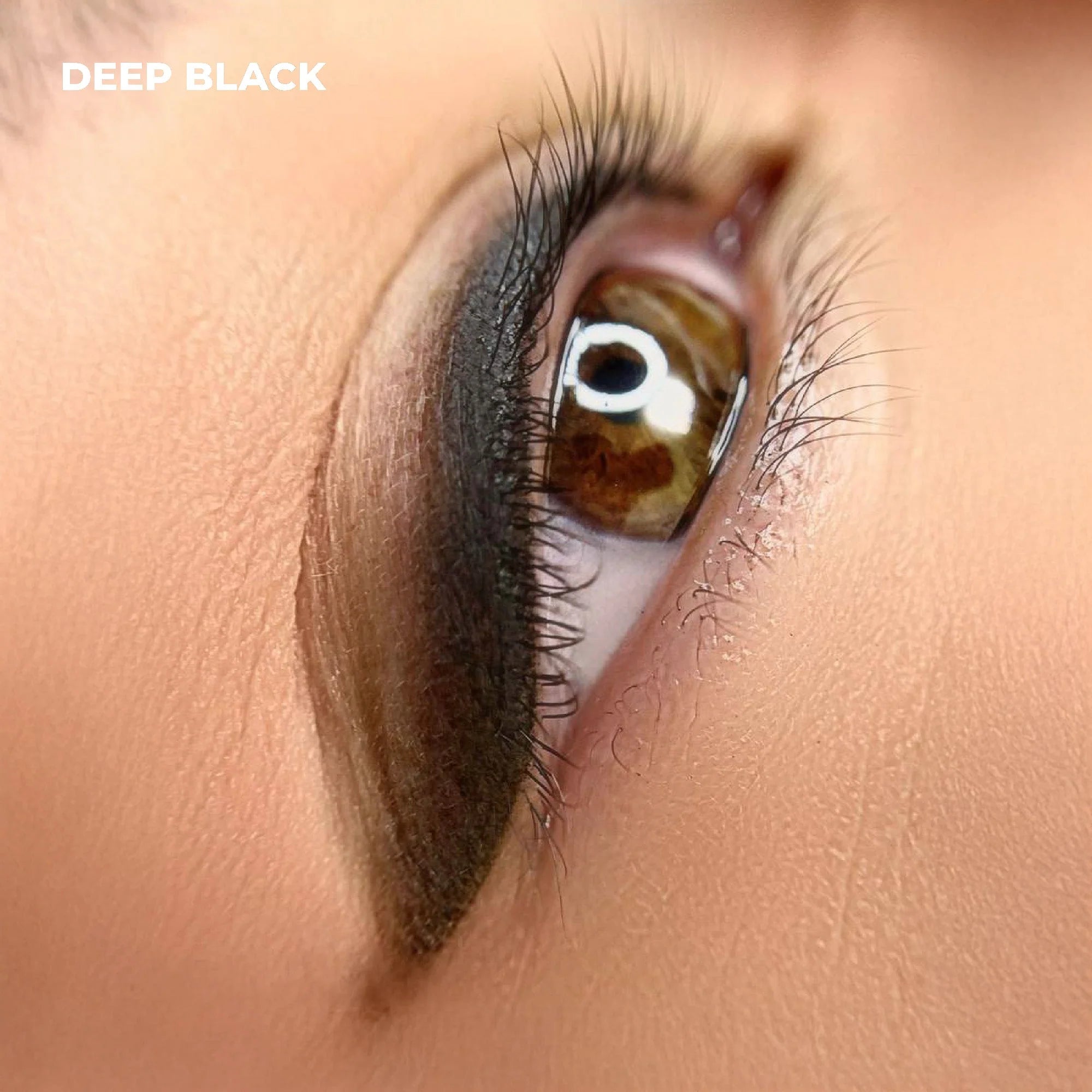 AS COMPANY Deep Black (AS Pigments) 6/12ml - BVShop
