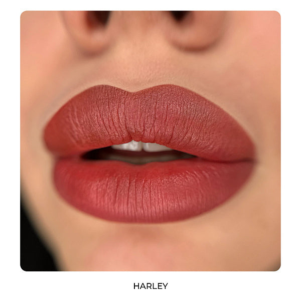 Lip Set HARLEY QUINN by AS Company & Alla Budaragina Hybrid 6pcs/6ml - BVShop