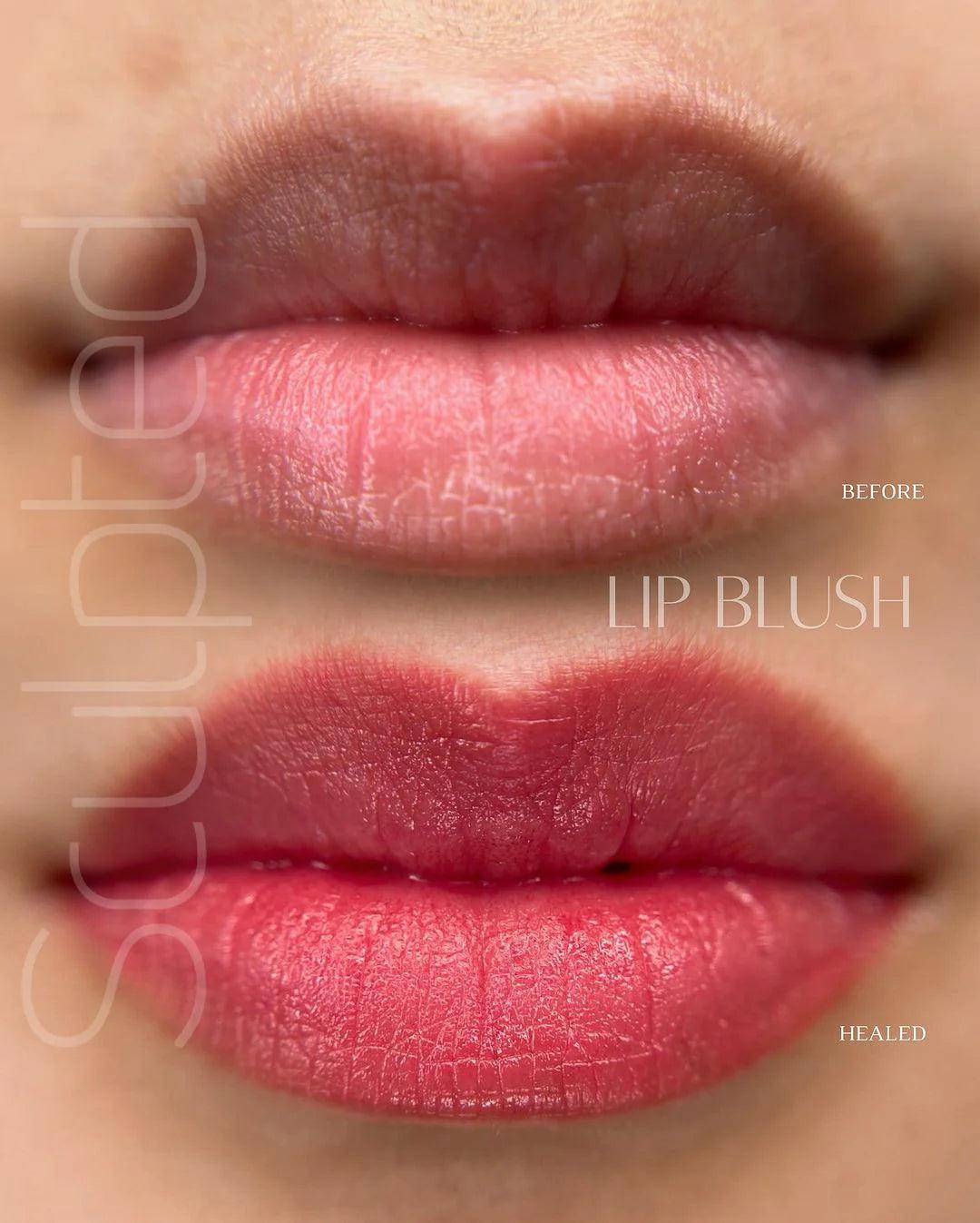 Perma Blend LUXE Mod 3 - BVShop