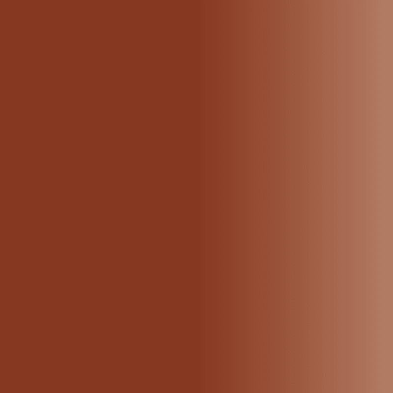 Swiss Color 408 Maroon Red Lip Pigment - BVShop