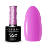 1-CLARESA-1