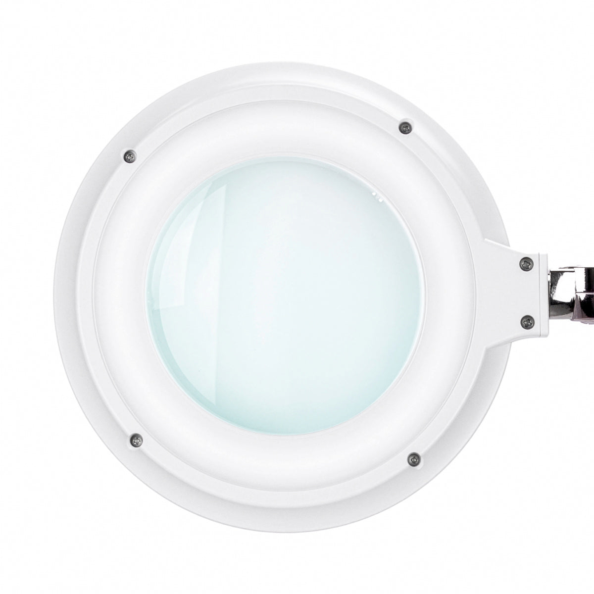 Elegante 6031 60 SMD LED magnifying lamp with touch brightness control