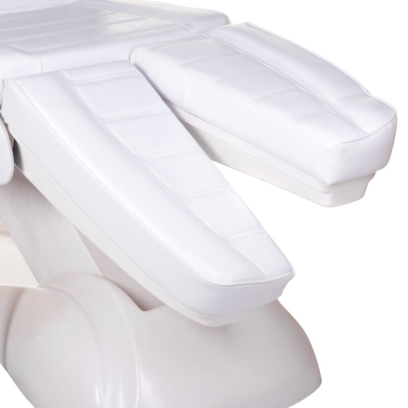 Fotel elektryczny LUX Pedicure BG-273E 5 engines - BVShop
