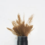 Fibra Espessante para Cabelo Nanogen Canela