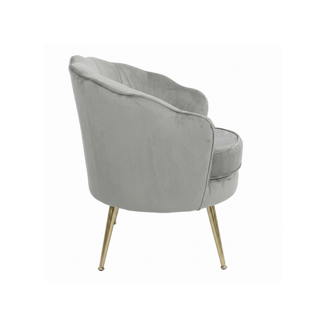 Grey velvet upholstered Lugano BX-LE69 chair by Beauty System, showcasing a plush, modern design with a comfortable seat and stylish appearance.
