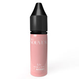 Pigmentos de Batom Pro Nouveau Blush da Intenze Liv 15ml