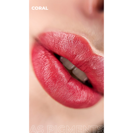 AS COMPANY Concentrate Set (AS Pigments) 6pcs/6ml - BVShop