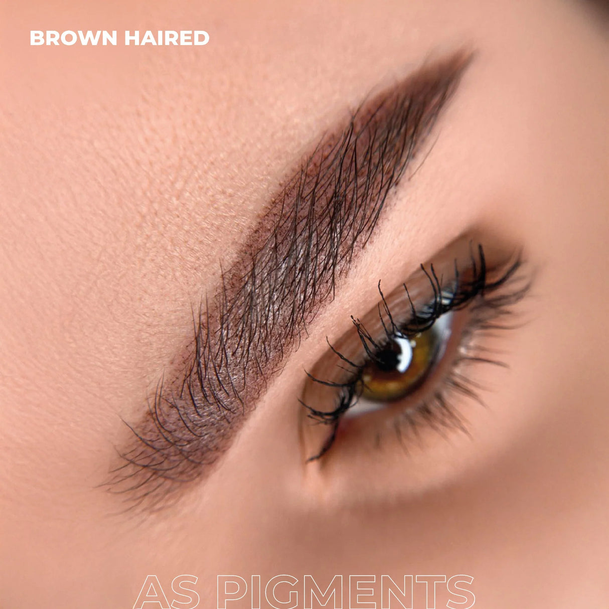 AS COMPANY Castanho (AS Pigments) 6/12ml