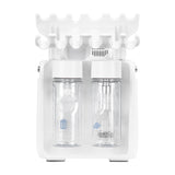 Hydrogen H2+ 6-in-1 new generation hydrogen purification device - BVShop