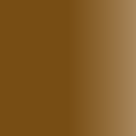 Pigmento para Sobrancelhas Swiss Color 203 Castanho Chocolate