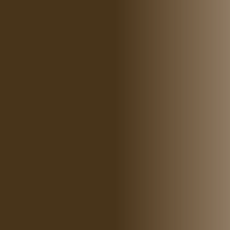 Pigmento para Sobrancelhas Swiss Color 206 Castanho Cacau