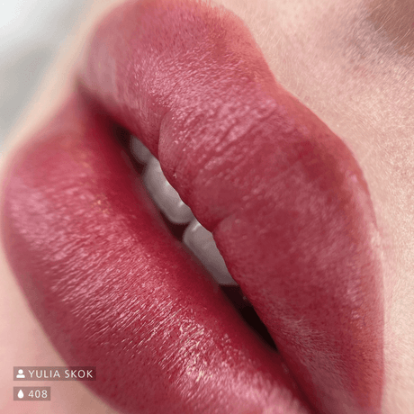 Swiss Color 408 Maroon Red Lip Pigment - BVShop