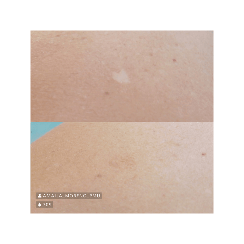 Swiss Color 709 Dark Beige Camouflage Pigment - BVShop
