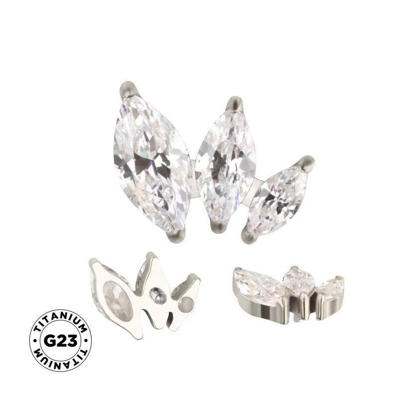 Anel de Titânio com Arranjo Marquise