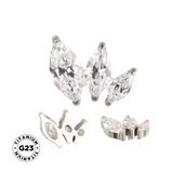 Anel de Titânio com Arranjo Marquise