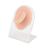 Modelo de Piercing para Língua em Silicone