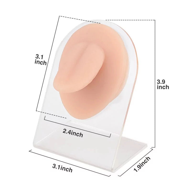 Modelo de Piercing para Língua em Silicone