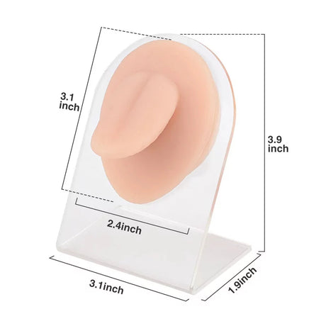 Modelo de Piercing para Língua em Silicone